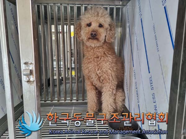 한국동물구조관리협회_441382202400499